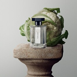 Tonka Blanc - Eau de Cologne
